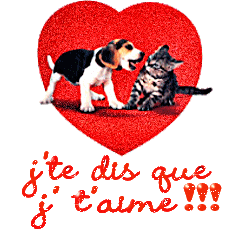 c marker rien a dire